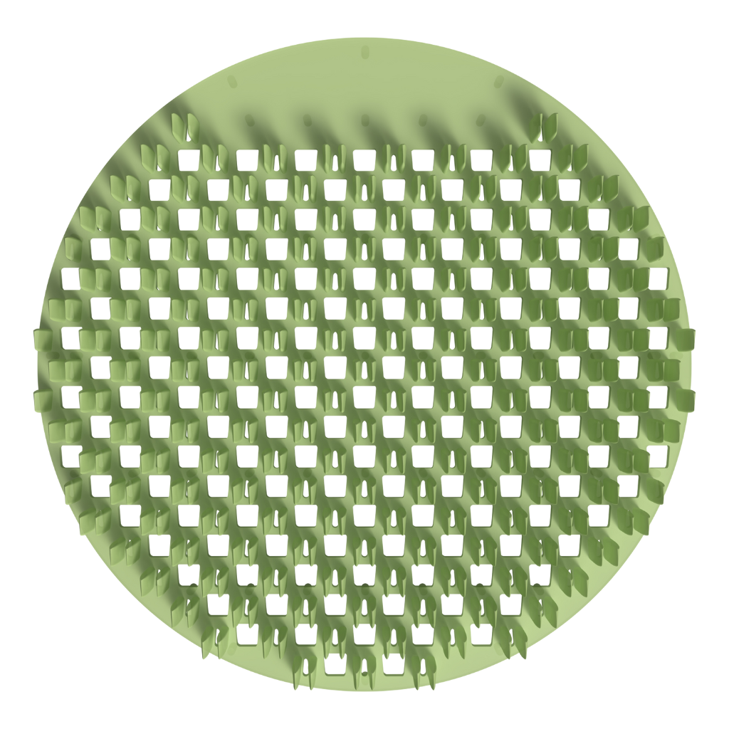Cucumber Melon