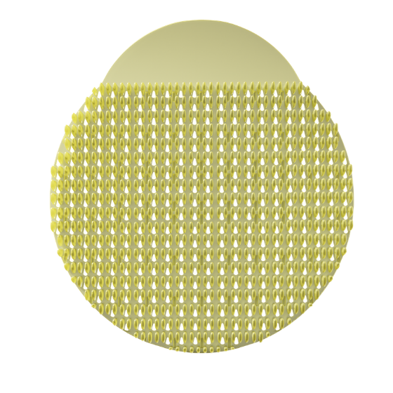 Sweet Lemon